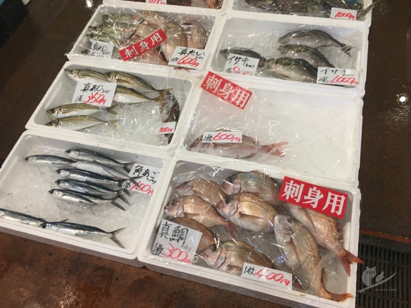 鳥取港海鮮産物市場かろいちの魚