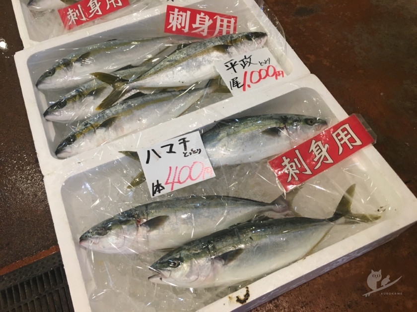 鳥取港海鮮産物市場かろいちの魚