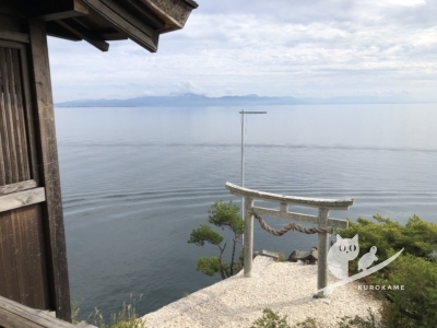 写真:くろかめ、過去イチブログをサボった言い訳を綴る