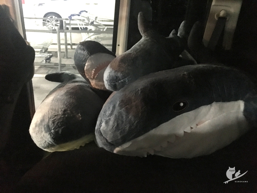 IKEA鶴浜でサメ5匹捕獲